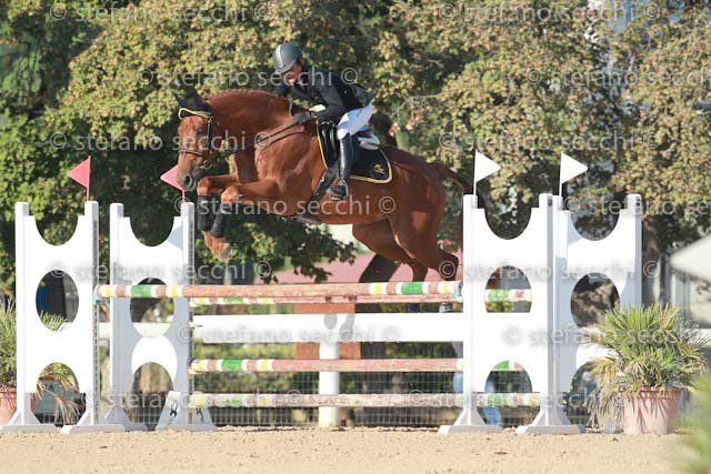 SAVIO_ORO PURO_GIO CAV 2011_SS3_6385.jpg